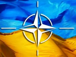 Ukraina utverdila pervye soglashenija o standartizacii s NATO